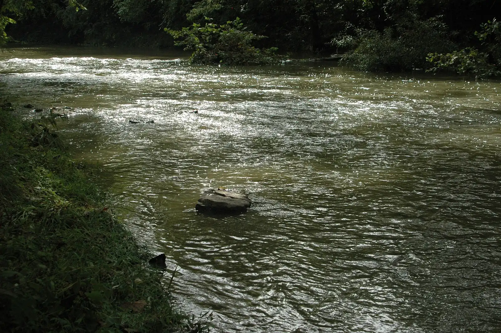 The Little Harpeth River near Nashville; Brentwood's riverside bikeway follows the same river