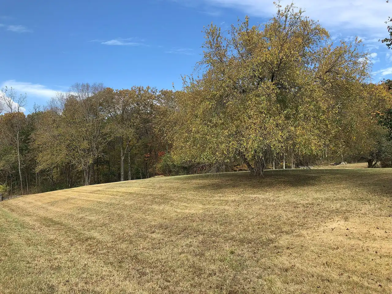 An open field and woods in fall color in Oak Hill, just north of Brentwood